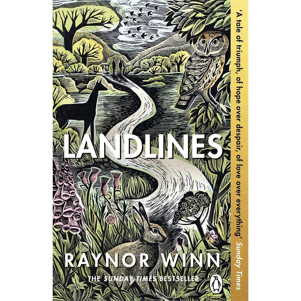 Landlines: The No 1 Sunday Times bestseller from the author of The Salt Path (Paperback) - Raynor Winn